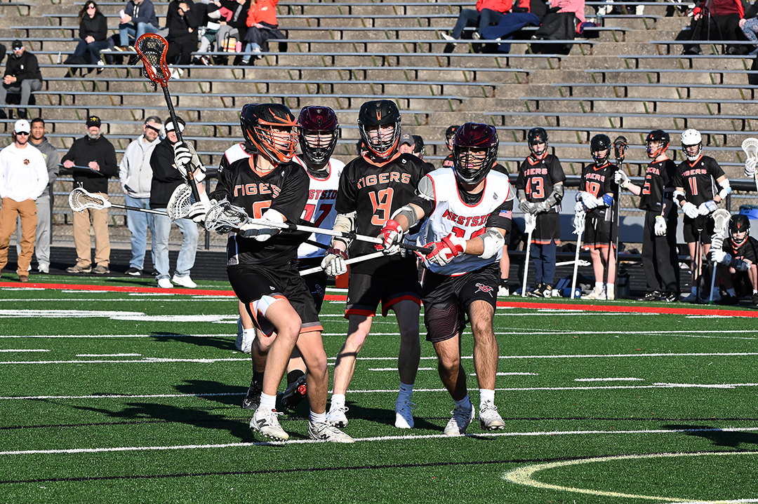 WDMvsWST_LC_030726_DSC_1971