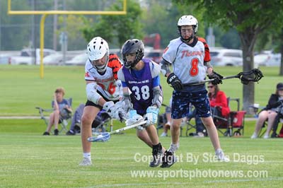 WDMvWK2_0601_DSC_7885