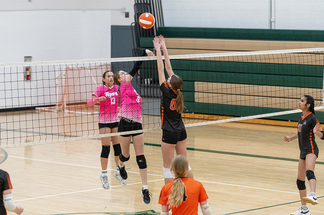 WDMvsAME_VB_030126_DSC_2224