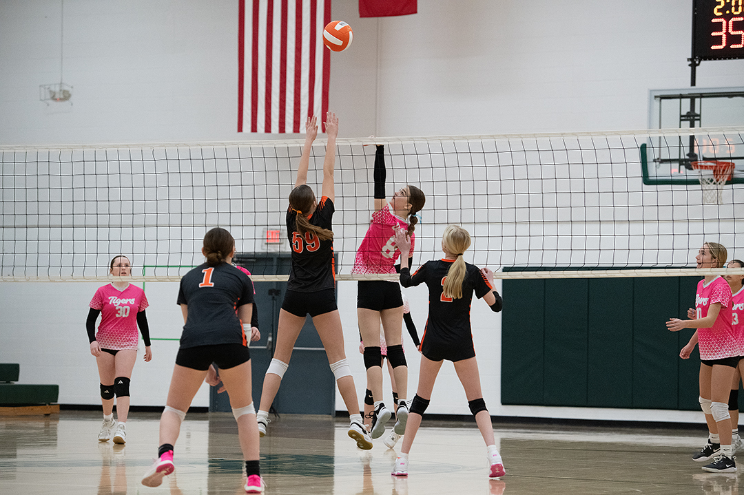 WDMvsAME_VB_030126_DSC_2393