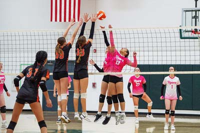 WDMvsAME_VB_030126_DSC_2271