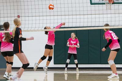 WDMvsAME_VB_030126_DSC_2358