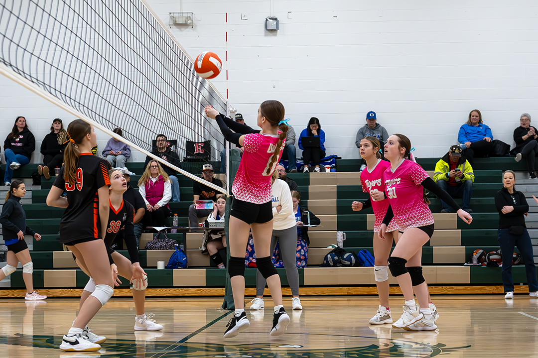 WDMvsAME_VB_030126_DSC_0490