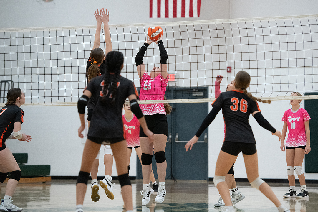 WDMvsAME_VB_030126_DSC_2442