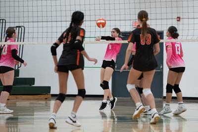 WDMvsAME_VB_030126_DSC_2433